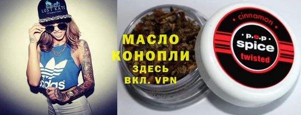 спайс Арсеньев