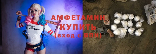 прущие грибы Балабаново