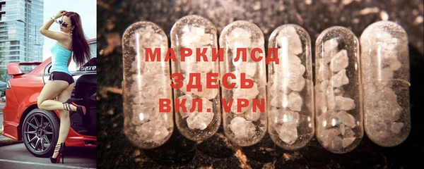 прущие грибы Балабаново