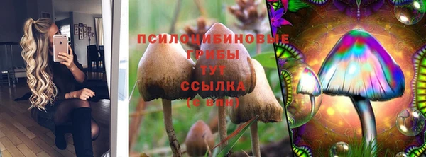 спайс Баксан